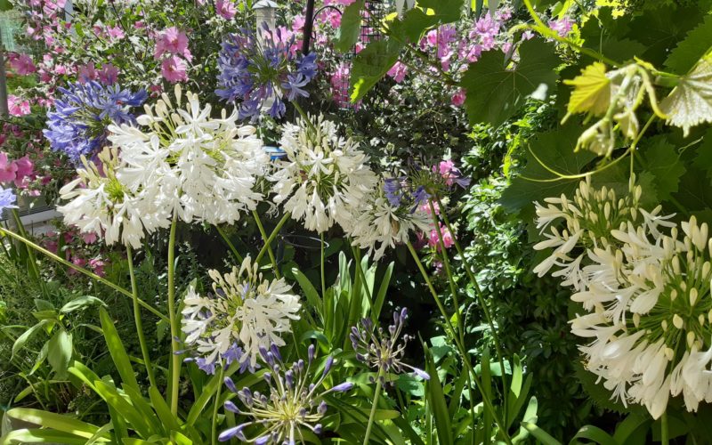 Le Jardin Val Fleuri 80